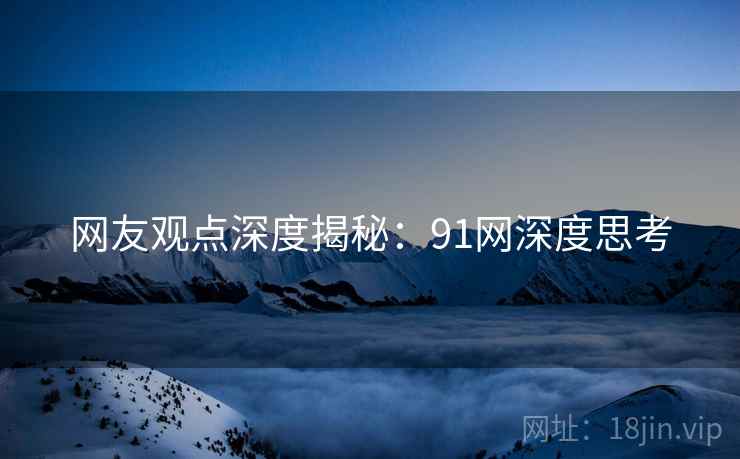 网友观点深度揭秘：91网深度思考