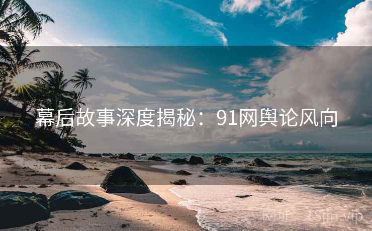 幕后故事深度揭秘：91网舆论风向
