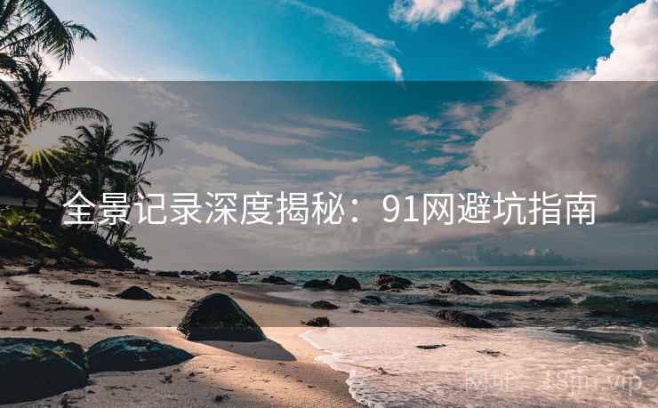 全景记录深度揭秘：91网避坑指南
