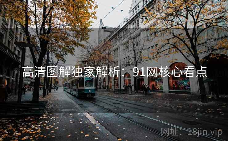 高清图解独家解析：91网核心看点