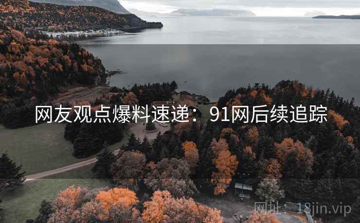 网友观点爆料速递：91网后续追踪