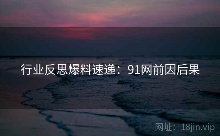 行业反思爆料速递：91网前因后果