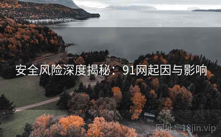 安全风险深度揭秘：91网起因与影响