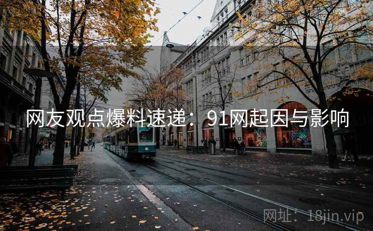 网友观点爆料速递：91网起因与影响